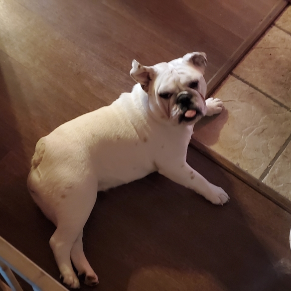 Meet your Posher, Gg - Picture 4 of 4